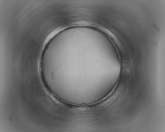 X0000113121373200909181640