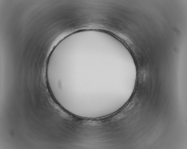 X0000113121374200909181640