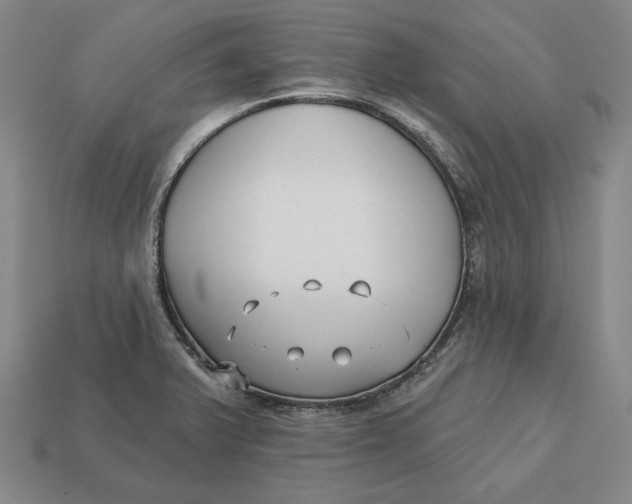 X0000113121375200909181640