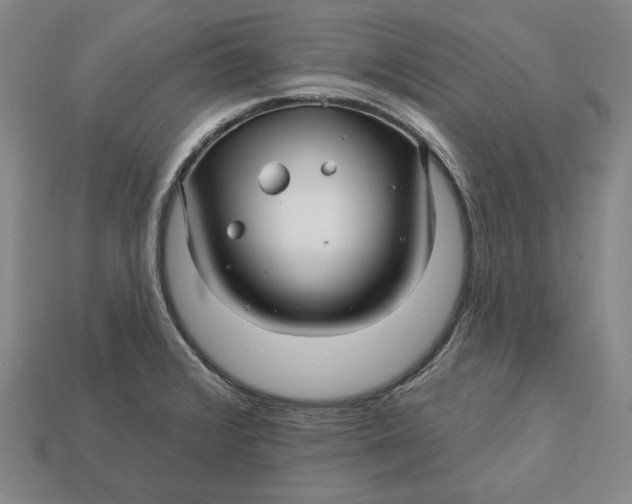 X0000113121376200909181640