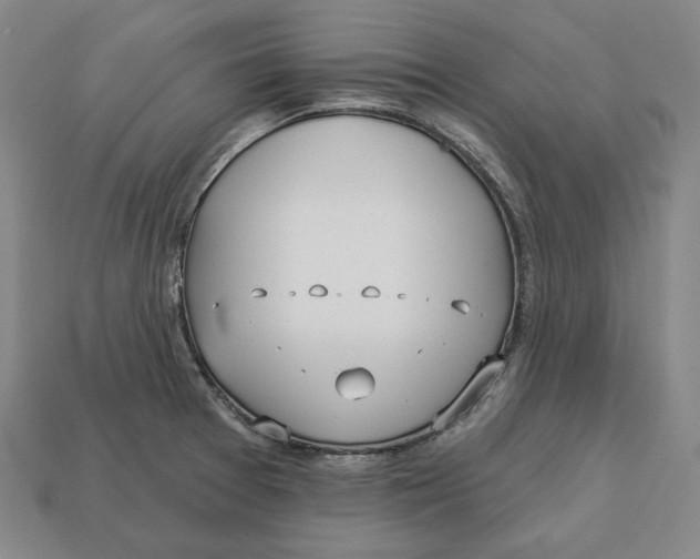 X0000113121377200909181640