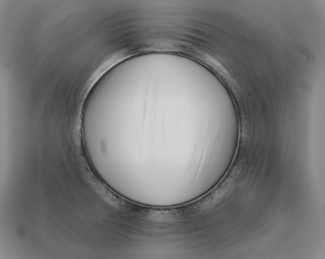 X0000113121378200909181640