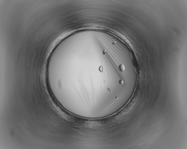 X0000113121379200909181640