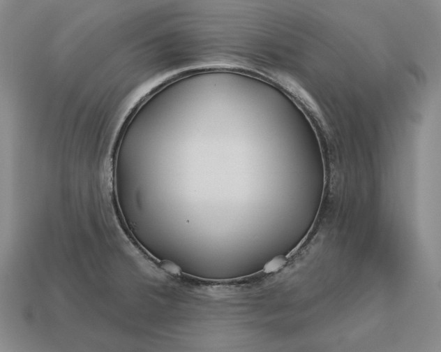 X0000113121380200909181640