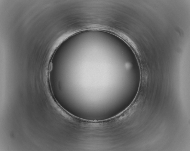 X0000113121381200909181640