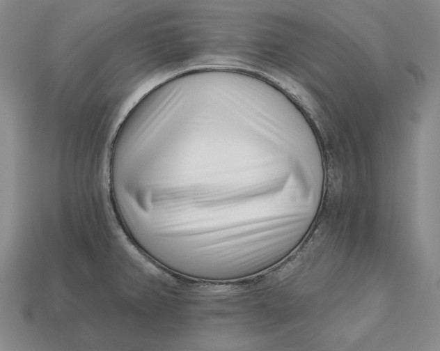 X0000113121382200909181640