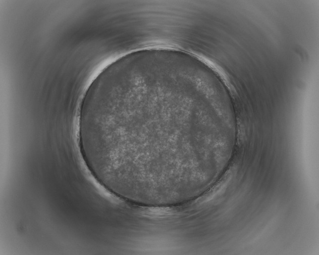 X0000113121383200909181640