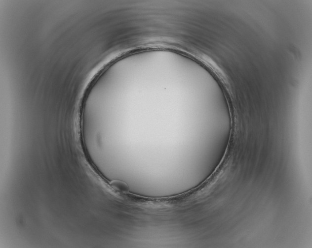 X0000113121384200909181640