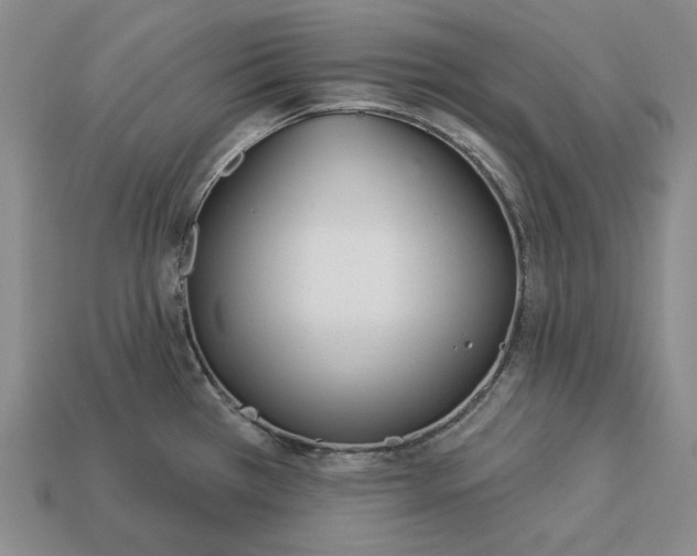 X0000113121385200909181640