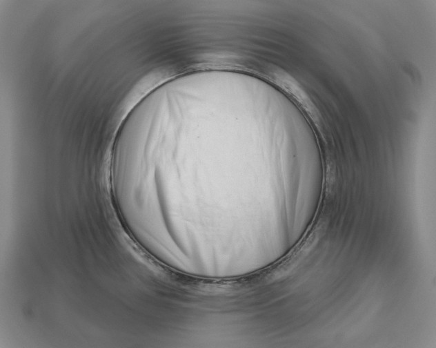 X0000113121386200909181640