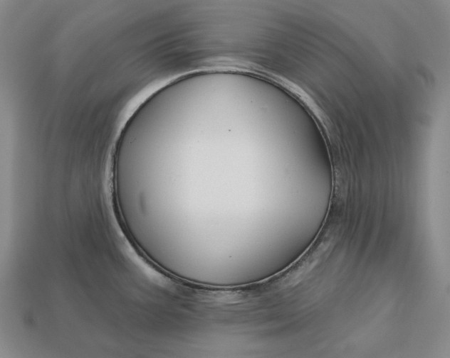 X0000113121387200909181640