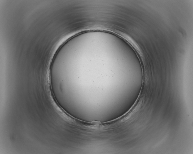 X0000113121388200909181640