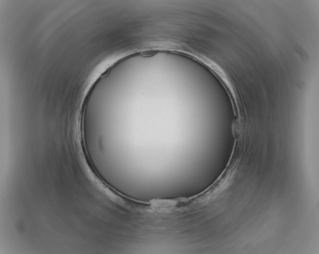 X0000113121389200909181640