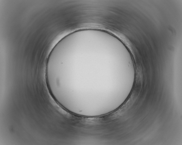 X0000113121390200909181640