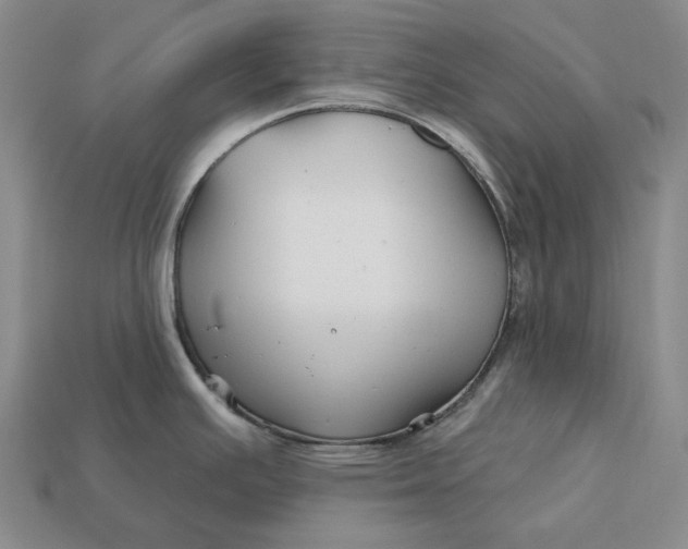 X0000113121391200909181640