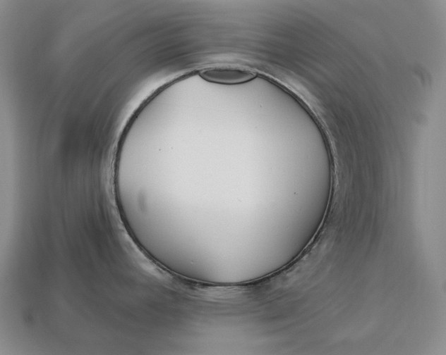 X0000113121392200909181640