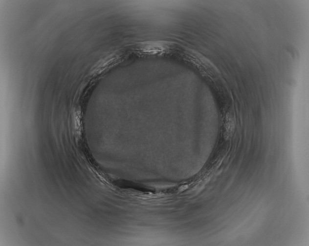 X0000113121394200909181639