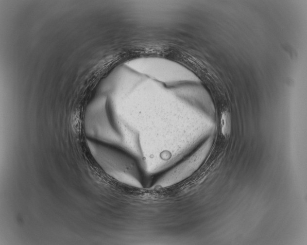 X0000113121395200909181639