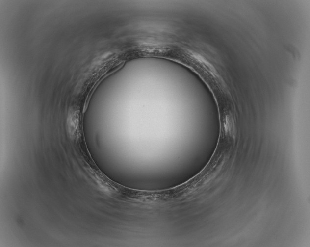 X0000113121396200909181639