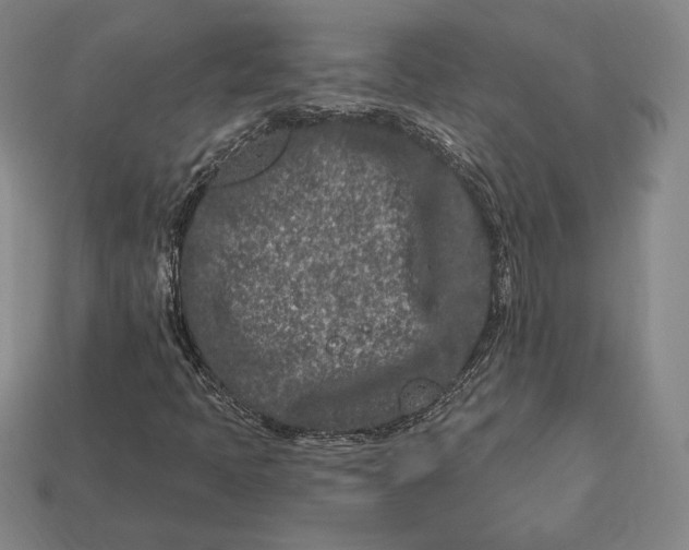 X0000113121397200909181639