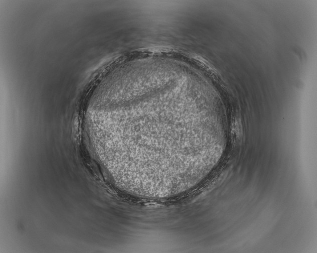 X0000113121398200909181639