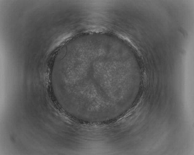 X0000113121399200909181639