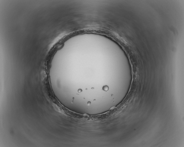 X0000113121400200909181639