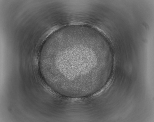 X0000113121401200909181639