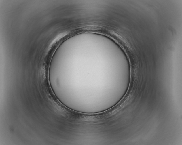 X0000113121402200909181639