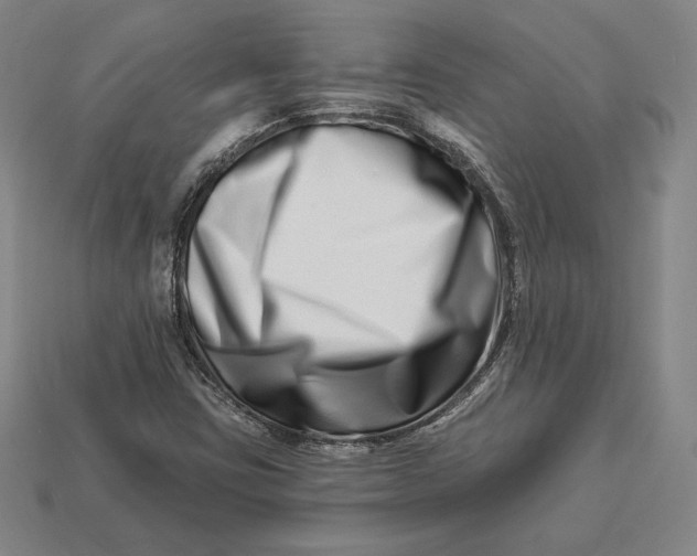 X0000113121403200909181639