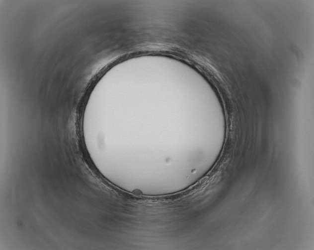 X0000113121404200909181639