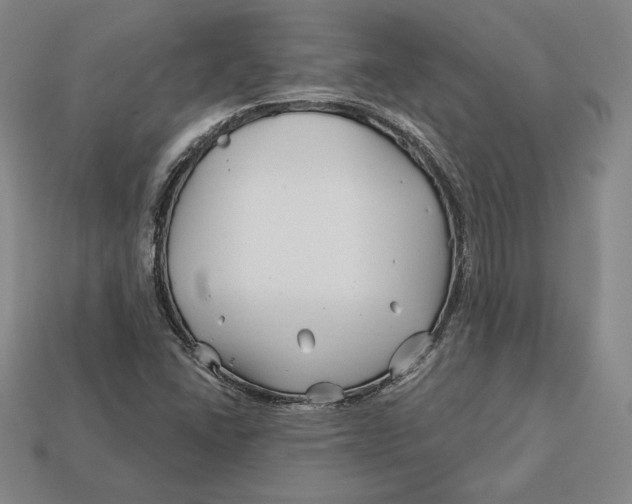 X0000113121406200909181639