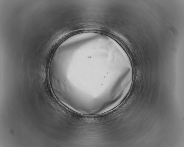 X0000113121407200909181639