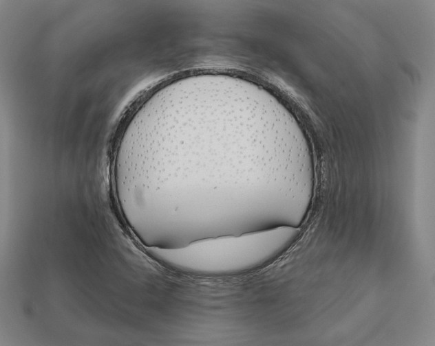 X0000113121408200909181639