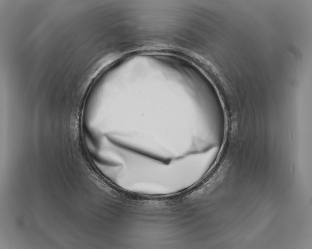 X0000113121409200909181639