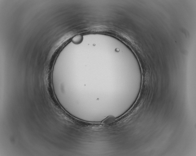 X0000113121410200909181639