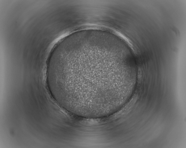 X0000113121411200909181639