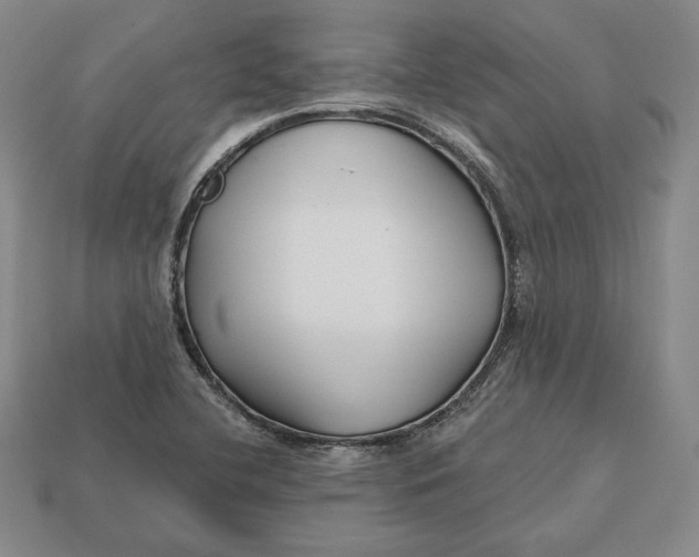 X0000113121412200909181639