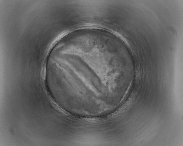 X0000113121413200909181639