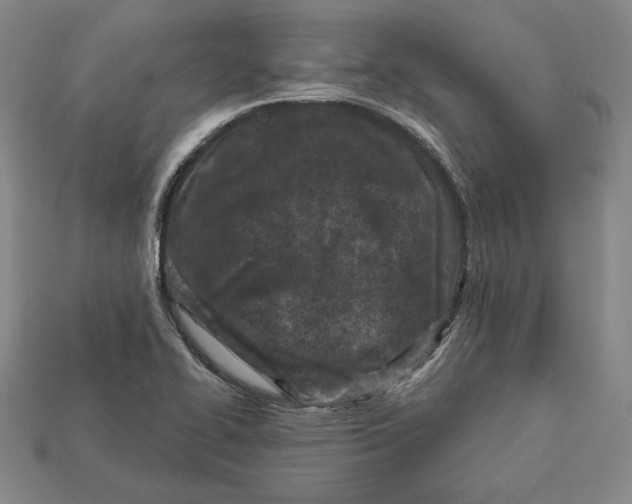 X0000113121414200909181639