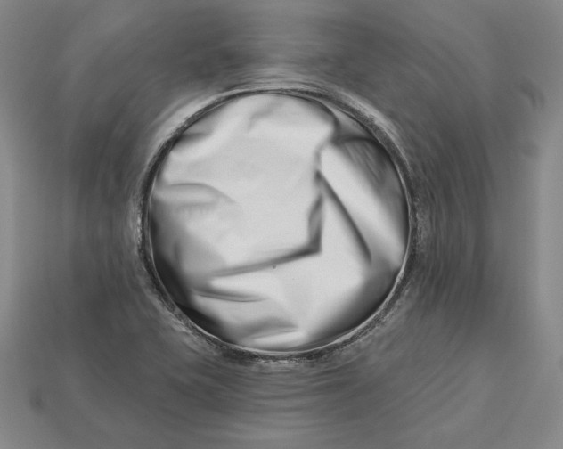 X0000113121415200909181639