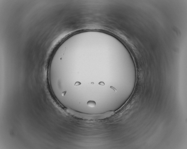 X0000113121416200909181639