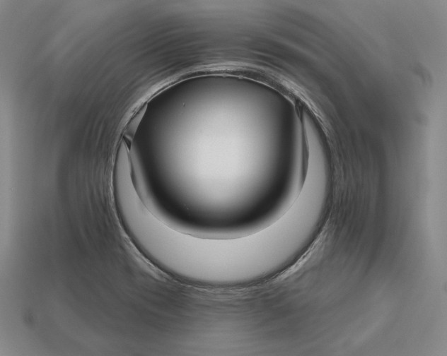 X0000113121417200909181639