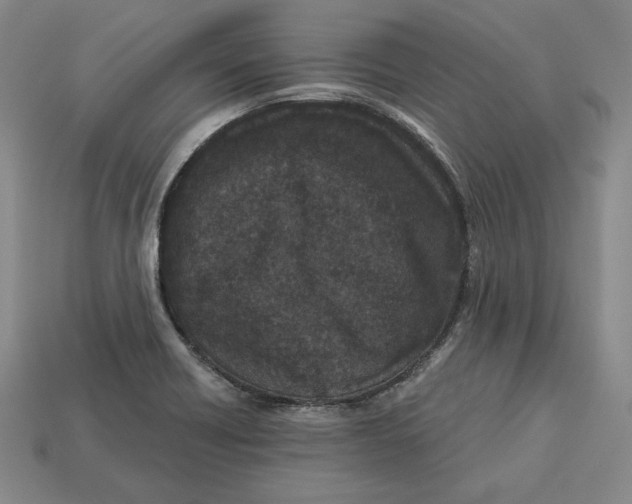 X0000113121418200909181639