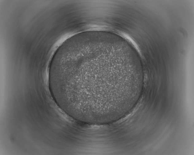 X0000113121419200909181639