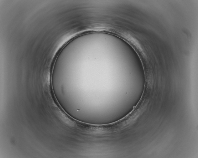 X0000113121420200909181639