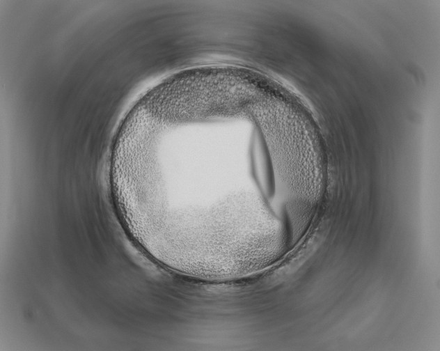 X0000113121421200909181639