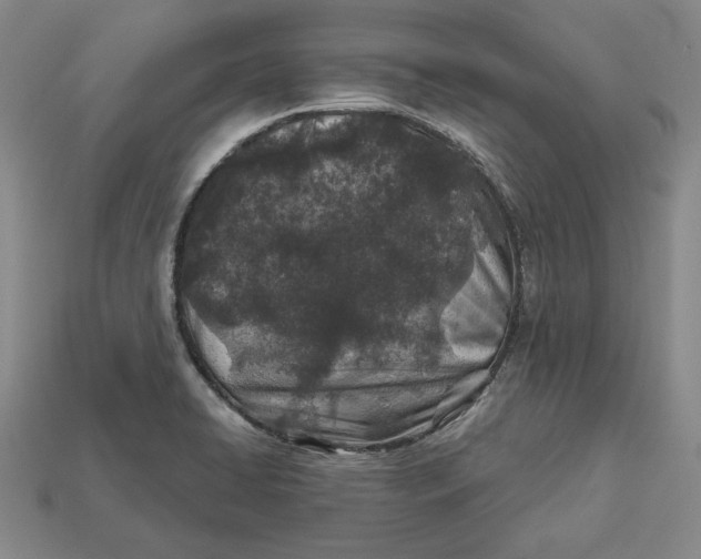 X0000113121422200909181639