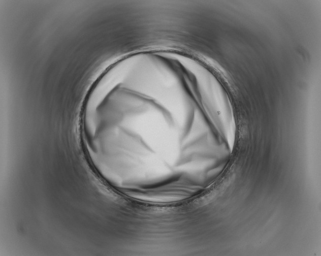 X0000113121423200909181640