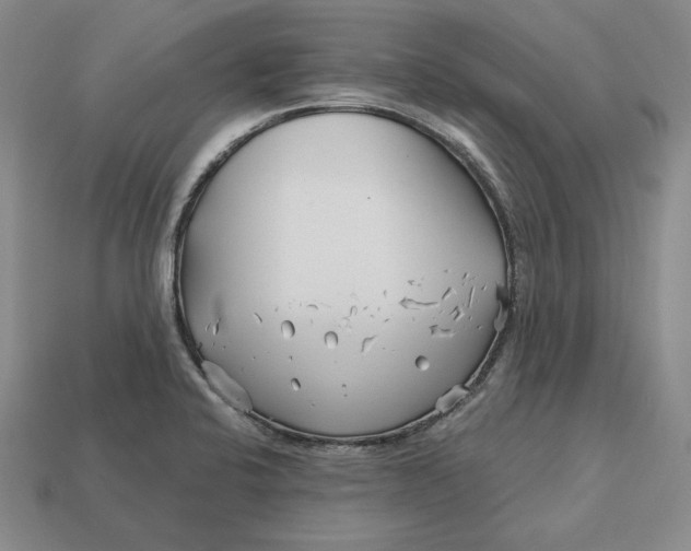 X0000113121424200909181640